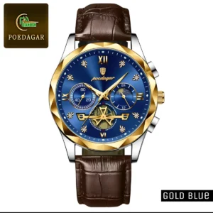 POEDAGAR 996 Artificial leather Luxury Watch for Man(Blue)